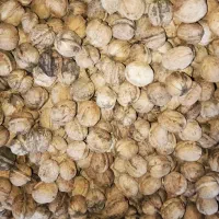 گردوی درجه یک|خوردنی و آشامیدنی|خاوه, |دیوار