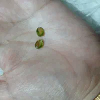 نگین زبر جد اصل