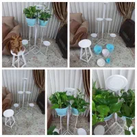 حراج گل طبیعی پتوس پایه گل استندفلزی اهنی چوبی