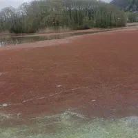 راهنمایی گرفتگی عضلات و مفاصل