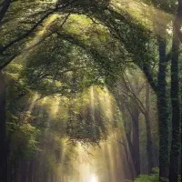 معجزه ی بدن و طبیعت