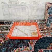 قفس|لوازم جانبی حیوانات|اهر, |دیوار