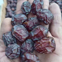 ریزه وخرمای خاصیو