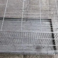 قفس جفت کنی غلامی