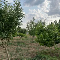 قواره باغی (آبشینه-املاک آروان)