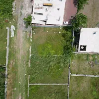 دو قطعه زمین ساحلی ۱۶۵متری چسبیده بهم/قواره چهارم|فروش زمین و ملک کلنگی|چاف و چمخاله, |دیوار