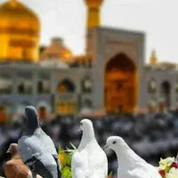 تور مشهد ویژه تاسوعا و عاشورای حسینی