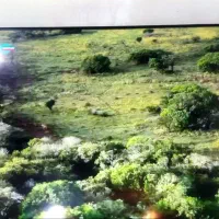 تلویزیون 48اینچ سامسونگ|تلویزیون و پروژکتور|پاکدشت, پارچین|دیوار