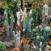 کاکتوس مصنوعی