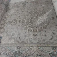 فرش ۱۲ متری ،و جفت ۹ متری|فرش|گرگان, |دیوار