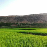 زمین ابی|فروش زمین و ملک کلنگی|شیراز, زرهی|دیوار