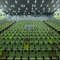 کنسرت د دان the don