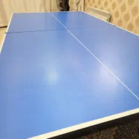 میز پینگ پنگ حرفه ای