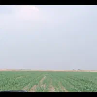 اجاره-زمین-کشاورزی
