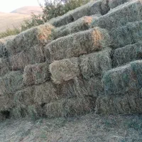 علف بسته بندی