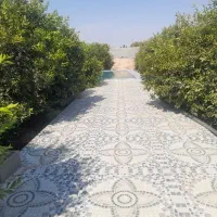 فروش ویلا باغ باغچه استخر دار در جاده سد دز|فروش دفتر صنعتی، کشاورزی، تجاری|اندیمشک, |دیوار