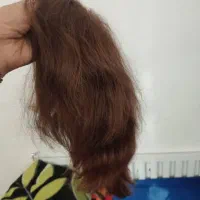 کلاه گیس با موی طبیعی|آرایشی، بهداشتی، درمانی|تهران, بوستان بعثت (باغ آذری)|دیوار