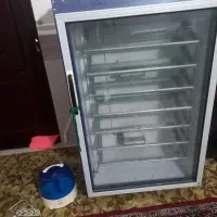 دستگاه جوجه کشی