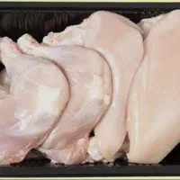 پخش مرغ و فرآورده های پروتئینی|عمده‌فروشی|اهر, |دیوار