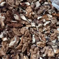 گردو فسنجانی