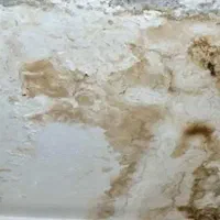 گچ کاری ورفع نم ،رطوبت ،شوره|خدمات پیشه و مهارت|سمنان, |دیوار