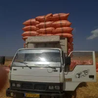 کاه لوبیا چتی|عمده‌فروشی|ماهدشت, |دیوار