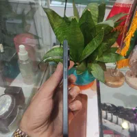 Redmi note13|موبایل|نیشابور, محله میدان باغات|دیوار