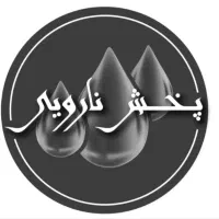 استخدام دفتر دار