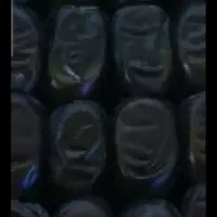 خرمای درجه یک تمیک وچهل تخم ۲۵۰مادری ۷/۸.۹۰۰