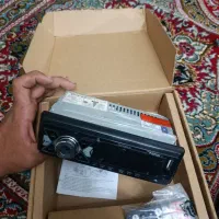 ظبط پاناتک