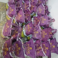 هندی جی تی سی ۵۰۰ کیلو روزانه موجوده