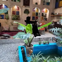 خوابگاه دخترانه دانشجویان و کارمندان ویژه بانوان|اجارهٔ کوتاه‌مدت آپارتمان و سوئیت|تهران, گرگان|دیوار