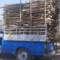 بریدن درخت و خرید چوب