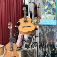 گیتار های دیاموند ،پارسی، یاماها|گیتار، بیس، امپلیفایر|دزفول, |دیوار