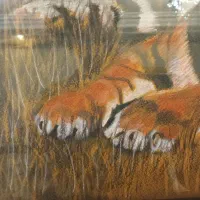 تابلو نقاشی ببر هنر دست|تابلو، نقاشی، عکس|تهران, امامت|دیوار