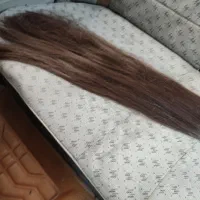 موی طبیعی|آرایشی، بهداشتی، درمانی|رشت, لاکانی|دیوار