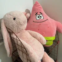 عروسک پولیشی