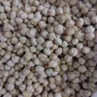 نخودامسال خوش پخت کیلویی 130تومن