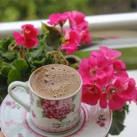 راهنمای کنید