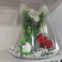 وسایل سفره هفت سین|حراج|کاشان, مشکات|دیوار