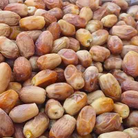 خرماصاداتی|خوردنی و آشامیدنی|شیبکوه (فارس), |دیوار