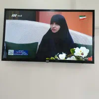 تلوزیون
