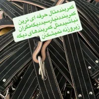 کمربند های حرفه ای باشگاه شارژ شد