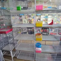 قفس جفتگاه کبوتری شارژ شد