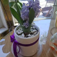 به یک سالندار نیازمندیم