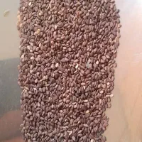 کنجد|عمدهفروشی|حمیدیه, |دیوار