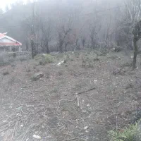 600متر-زمین-سیاهمزگی-شفت