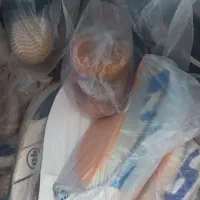 کفش تایگر سالنی در سایز های مختلف زیره تزریقی و..