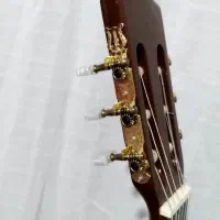 گیتار حرفه ای صفحه چوب اسپیروس|گیتار، بیس، امپلیفایر|تالش, هشتپر|دیوار