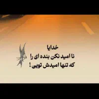 راهنمایی کنید برای خرید دیگنیتی یا فیدلیتی
